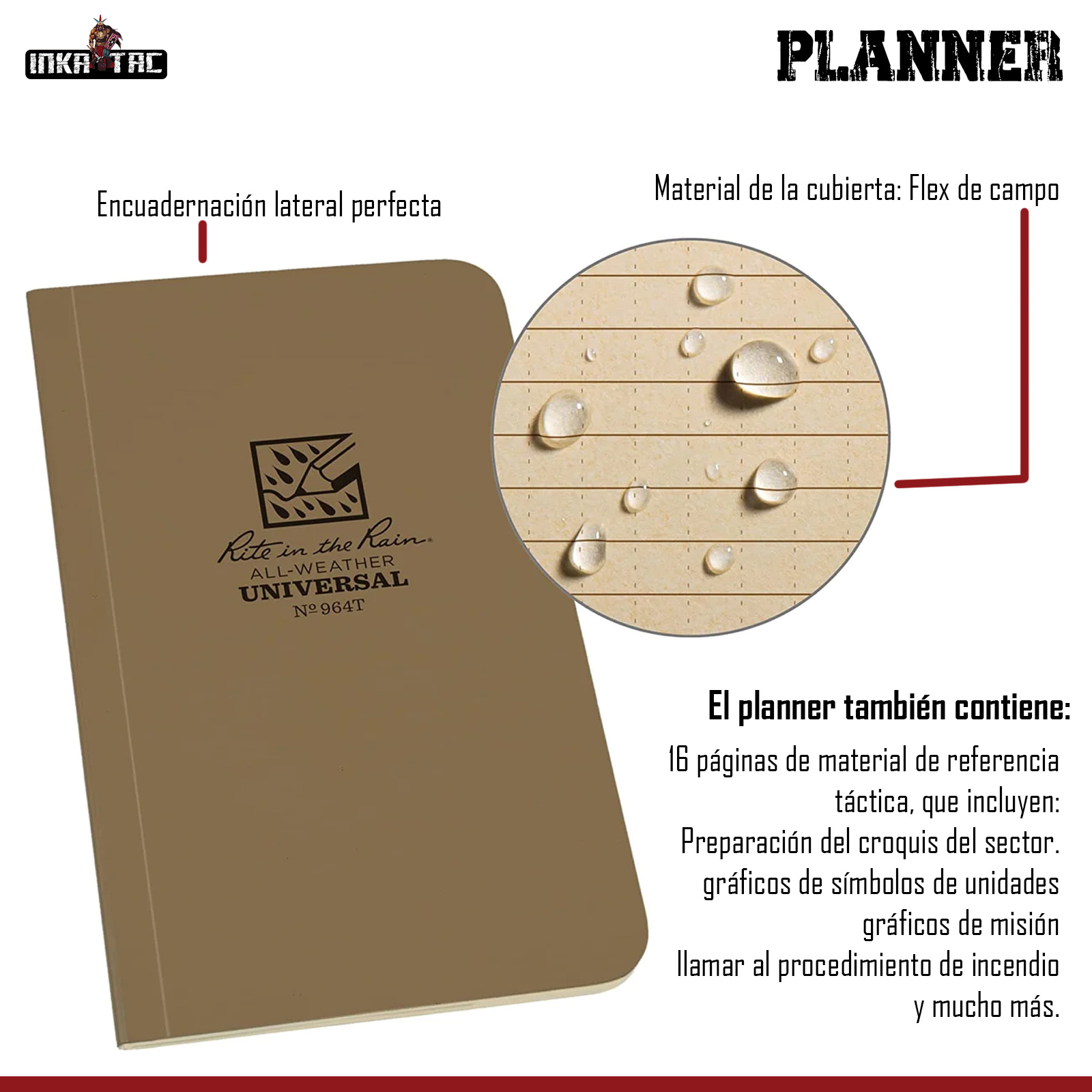 𝐏𝐋𝐀𝐍𝐍𝐄𝐑-𝐑𝐈𝐓𝐄 𝐈𝐍 𝐓𝐇𝐄 𝐑𝐀𝐈𝐍